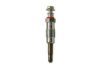 CHAMPION CH189/002 Glow Plug